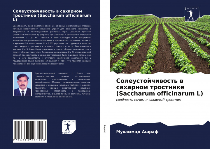 Könyv Soleustojchiwost' w saharnom trostnike (Saccharum officinarum L) 