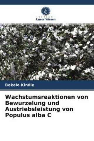 Könyv Wachstumsreaktionen von Bewurzelung und Austriebsleistung von Populus alba C 