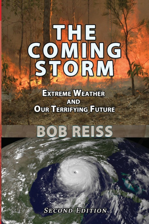 Boek Coming Storm Bob Reiss