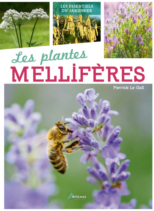 Книга Insectes pollinisateurs et plantes mellifères Le gall pierrick