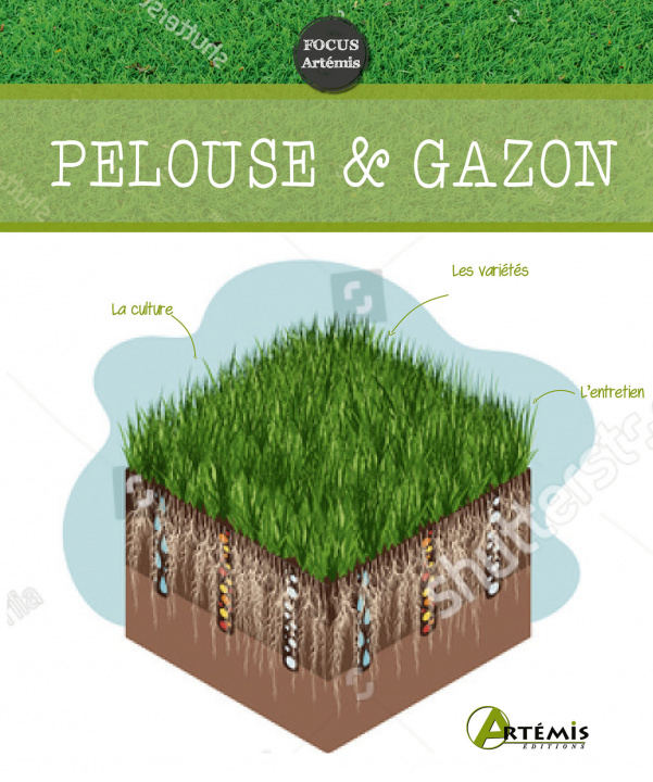 Kniha Pelouse & gazon collegium