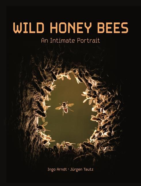 Kniha Wild Honey Bees: An Intimate Portrait Jürgen Tautz