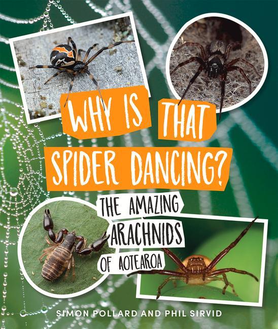 Knjiga Why Is That Spider Dancing? Pollard