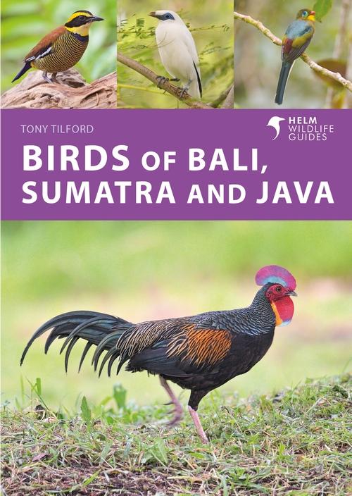 Книга Birds of Bali, Sumatra and Java 
