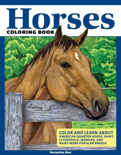 Kniha Horses Coloring Book 