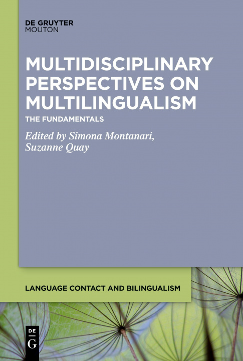Könyv Multidisciplinary Perspectives on Multilingualism Suzanne Quay