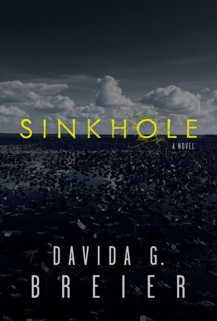 Knjiga Sinkhole Breier Davida