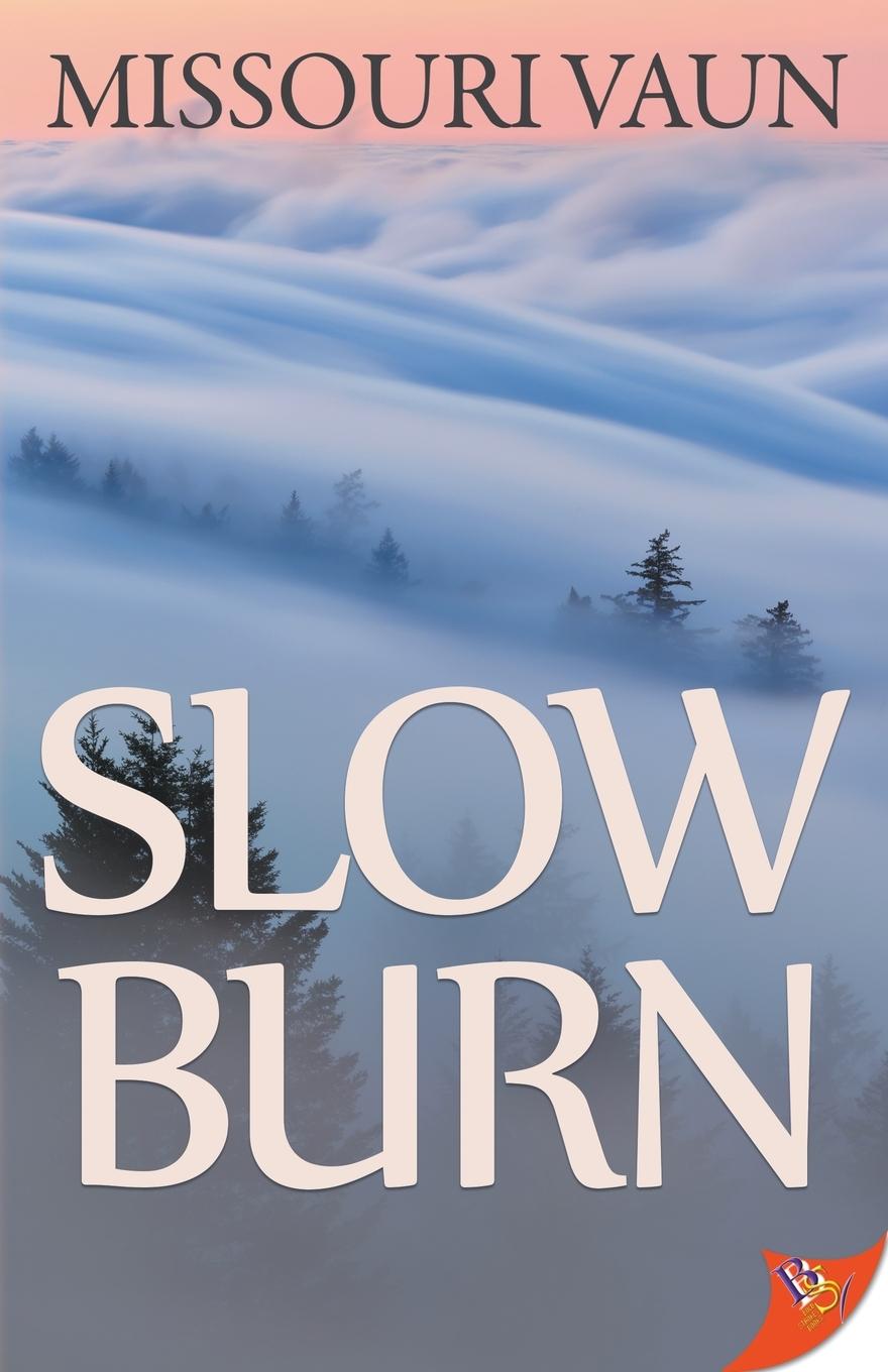 Книга Slow Burn Missouri Vaun