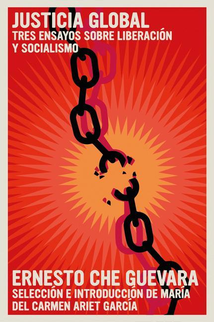 Libro Justicia Global: Tres Ensayos Sobre Liberación Y Socialismo María del Carmen Ari García