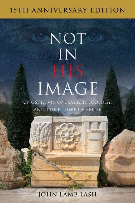 Книга Not in His Image (15th Anniversary Edition) 
