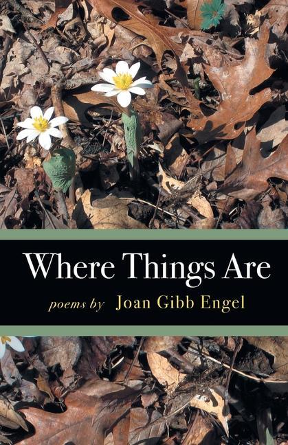Knjiga Where Things Are Joan Engel