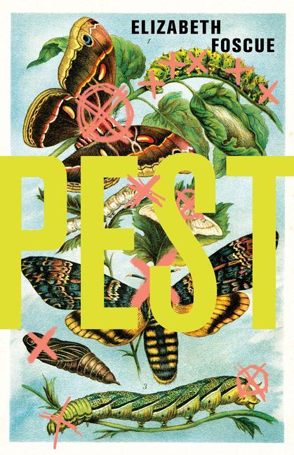 Knjiga Pest Elizabeth Foscue