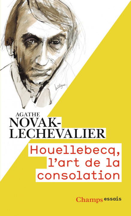 Knjiga Houellebecq, l'art de la consolation AGATHE NOVAK-LECHEVALIER