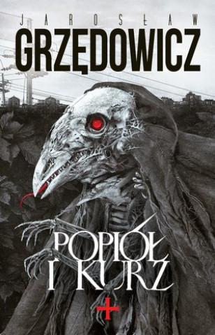 Buch Popiół i kurz Grzędowicz Jarosław