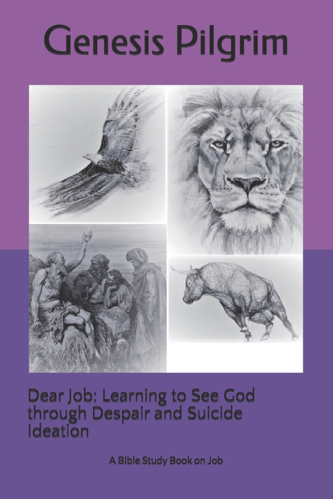 Knjiga Dear Job Pilgrim Genesis Pilgrim