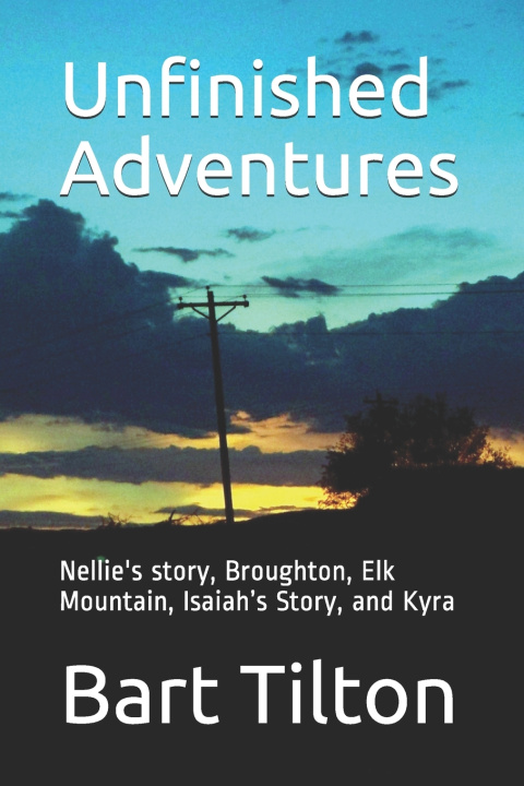Knjiga Unfinished Adventures Tilton Bart Tilton