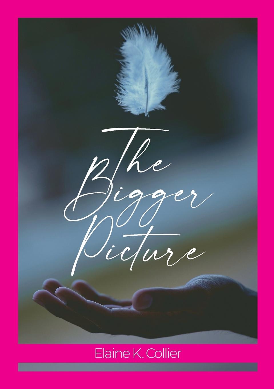 Knjiga Bigger Picture Elaine Collier