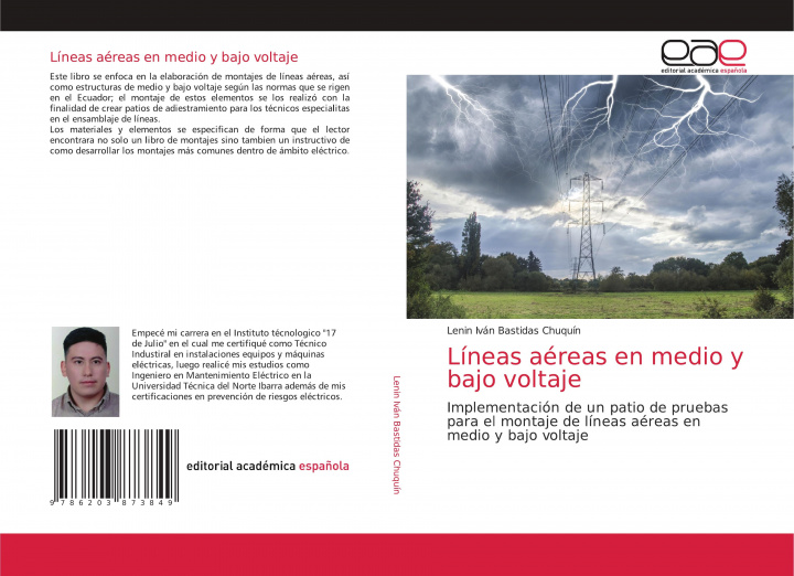 Kniha Lineas aereas en medio y bajo voltaje 