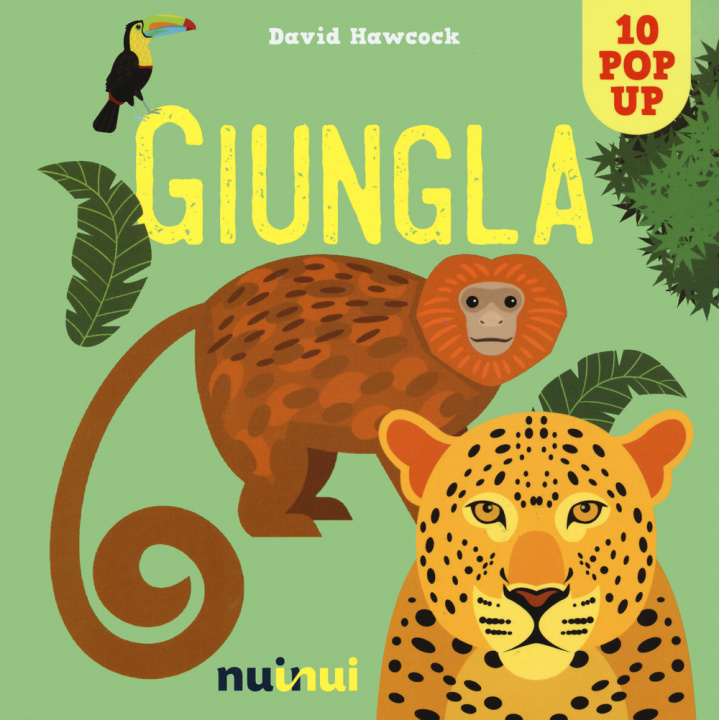 Kniha Giungla. Libro pop-up David Hawcock