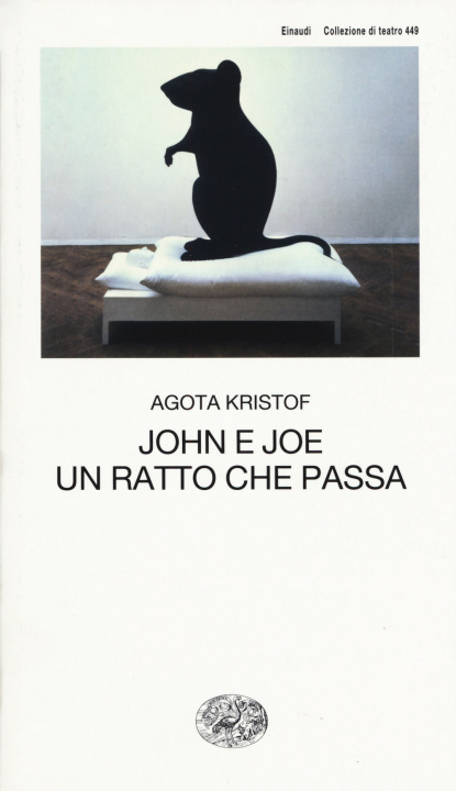 Kniha John e Joe-Un ratto che passa Agota Kristof