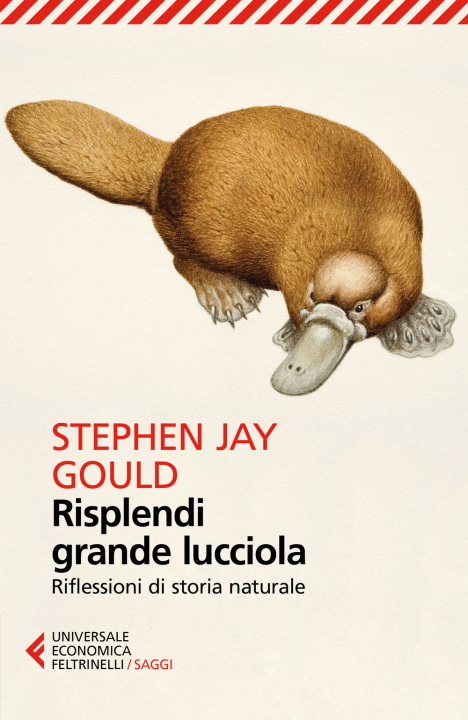 Kniha Risplendi grande lucciola. Riflessioni di storia naturale Stephen Jay Gould
