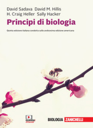 Könyv Principi di biologia David Sadava