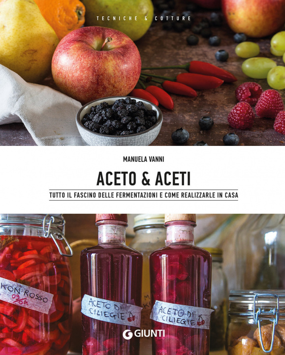 Kniha Aceto & aceti. Tutto il fascino delle fermentazioni e come realizzarle in casa Manuela Vanni