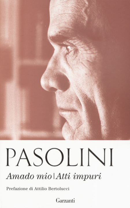 Książka Amado mio-Atti impuri Pier Paolo Pasolini