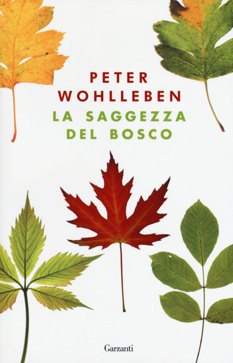 Книга saggezza del bosco Peter Wohlleben