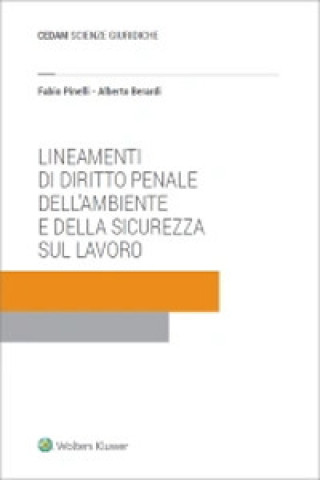 Könyv Lineamenti di diritto penale dell'ambiente e della sicurezza sul lavoro Fabio Pinelli