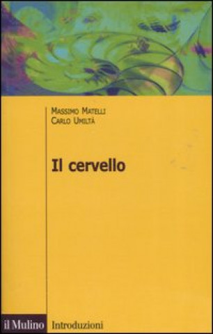 Könyv cervello. Anatomia e funzione del Sistema nervoso centrale Massimo Matelli