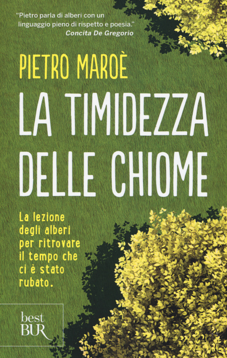 Carte timidezza delle chiome Pietro Maroè