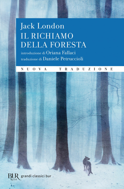 Buch richiamo della foresta Jack London