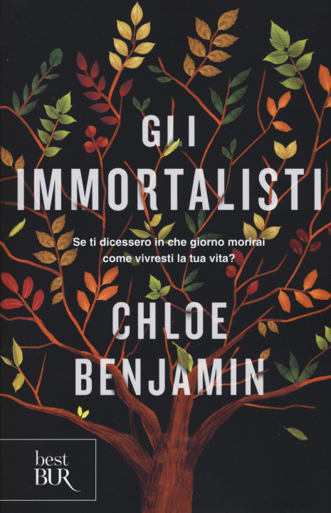 Kniha immortalisti Chloe Benjamin