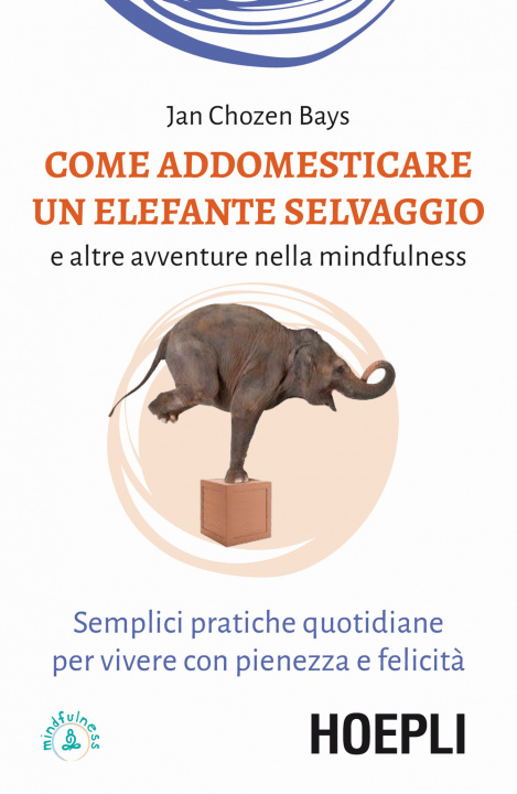 Kniha Come addomesticare un elefante selvaggio e altre avventure nella mindfulness. Semplici pratiche quotidiane per vivere con pienezza e felicità Jan Chozen Bays