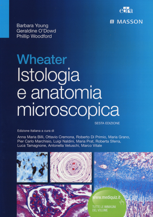 Kniha Wheater. Istologia e anatomia microscopica Barbara Young