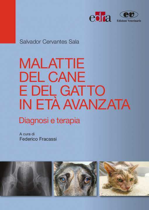 Könyv Malattie del cane e del gatto in età avanzata. Diagnosi e terapia Salvador Cervantes Sala