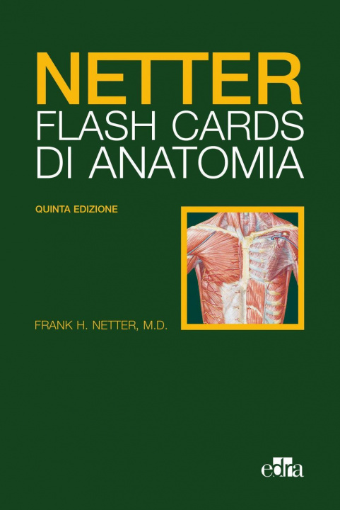 Kniha Netter Flash cards di anatomia Frank H. Netter