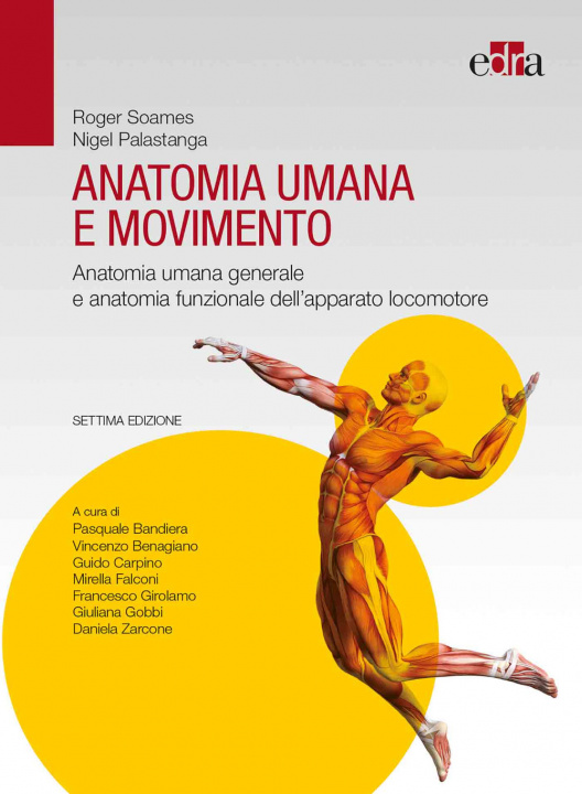 Kniha Anatomia umana e movimento. Anatomia umana generale e anatomia funzionale dell’apparato locomotore Roger Soames