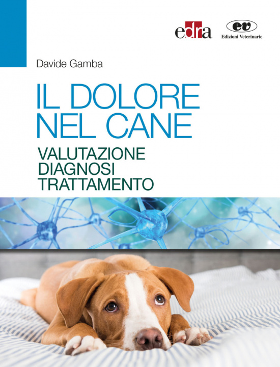 Könyv dolore nel cane. Valutazione, diagnosi e trattamento Davide Gamba