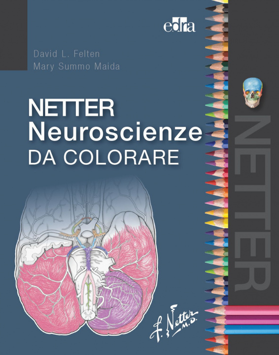 Kniha Netter neuroscienze da colorare David L. Felten