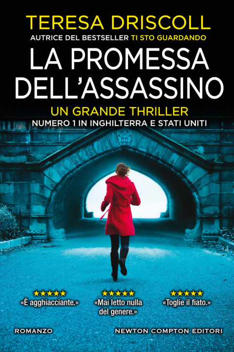Kniha promessa dell'assassino Teresa Driscoll