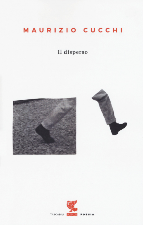 Könyv disperso Maurizio Cucchi