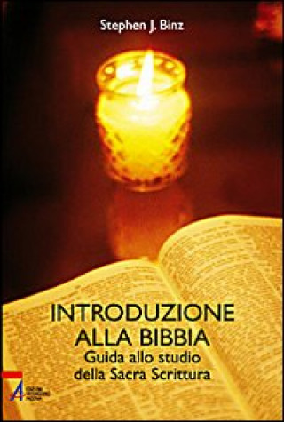 Könyv Introduzione alla Bibbia. Guida alla sacra scrittura Stephen J. Binz