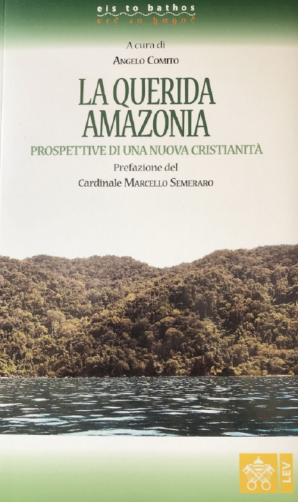 Kniha Querida Amazonia. Prospettive di una nuova Cristianità 