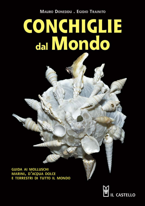 Carte Conchiglie dal mondo. Guida ai molluschi marini, d'acqua dolce e terrestri di tutto il mondo Mauro Doneddu