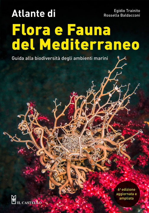 Carte Atlante di flora e fauna del Mediterraneo. Guida alla biodiversità degli ambienti marini Egidio Trainito