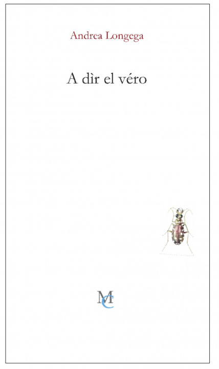 Boek A dìr el véro Andrea Longega