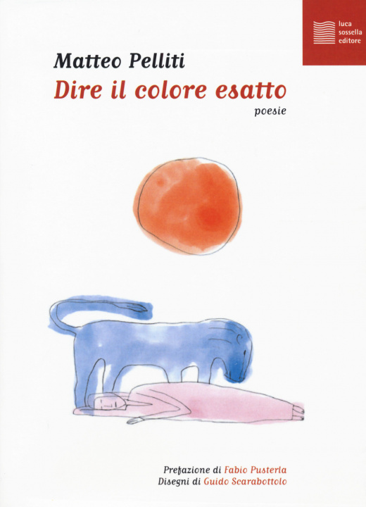 Kniha Dire il colore esatto Matteo Pelliti