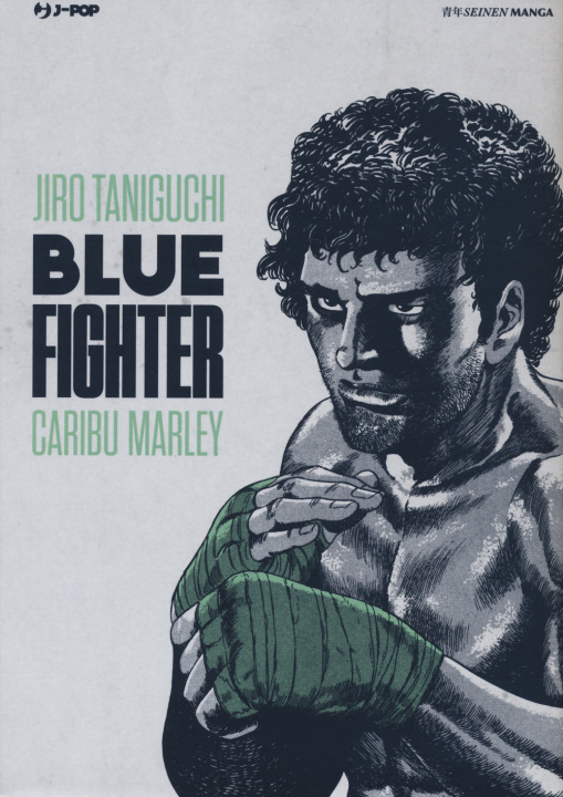 Kniha Blue fighter Jiro Taniguchi